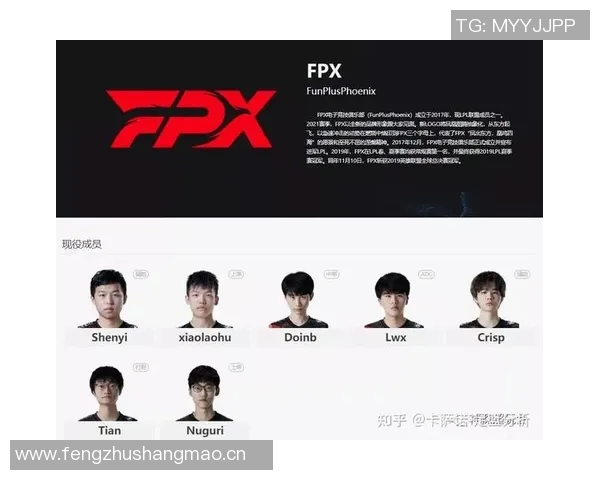 深圳篮球队精英赛表现分析团队配合与战术执行的关键因素探讨